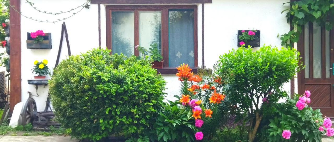 Willa Casa Din Coltul Cetatii Hărman Zewnętrze zdjęcie